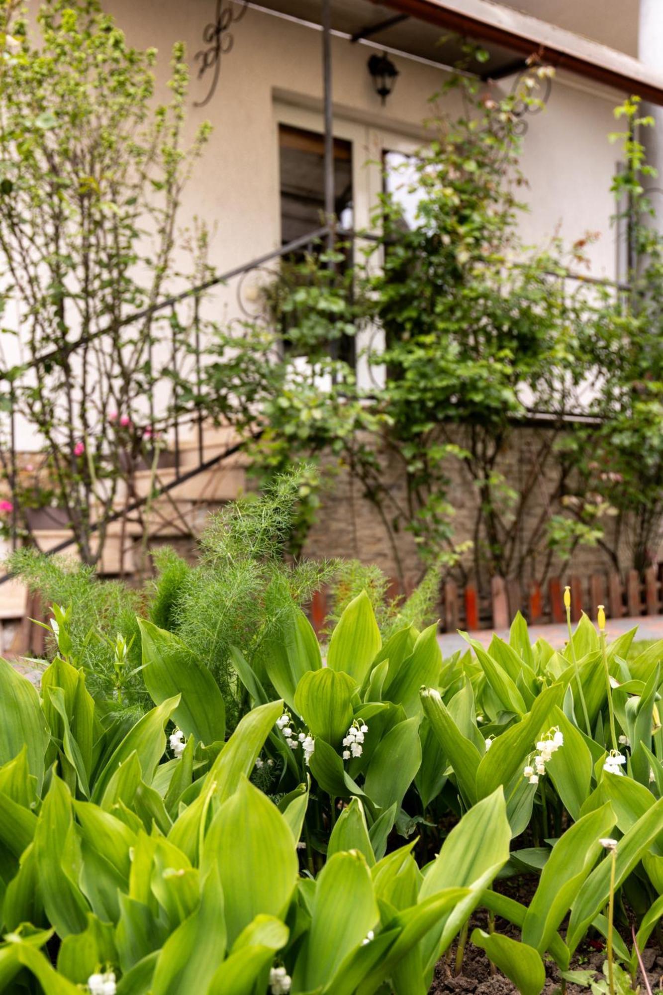 Green Garden Felek Kültér fotó